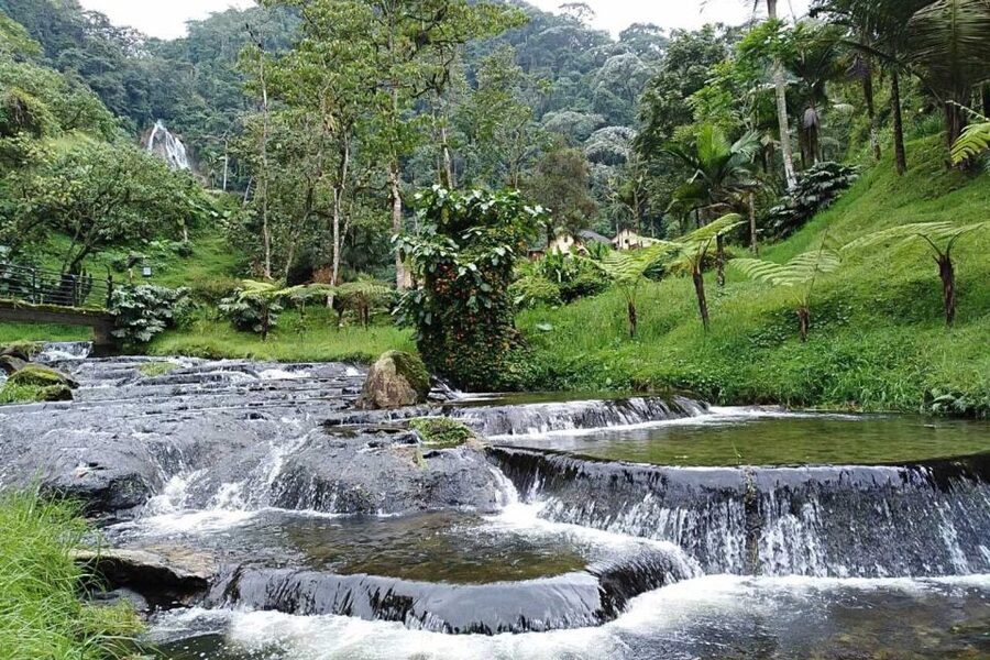 Santa Rosa de Cabal Thermal Hot Springs - The maintained thermal pools