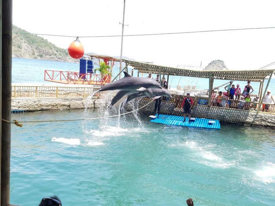 SANTAMARTA: TOUR Combo boat taxi, aquarium, lunch, and white sand beach - A simple Caribbean day from El Rodadero