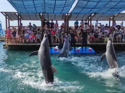 SANTAMARTA: TOUR Combo boat taxi, aquarium, lunch, and white sand beach