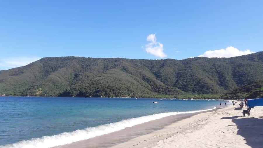 SANTAMARTA: TOUR Combo boat taxi, aquarium, lunch, and white sand beach - What the $75 price covers