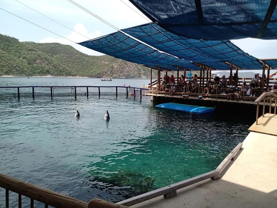 SANTAMARTA: TOUR Combo boat taxi, aquarium, lunch, and white sand beach - Packing rules and small practical details