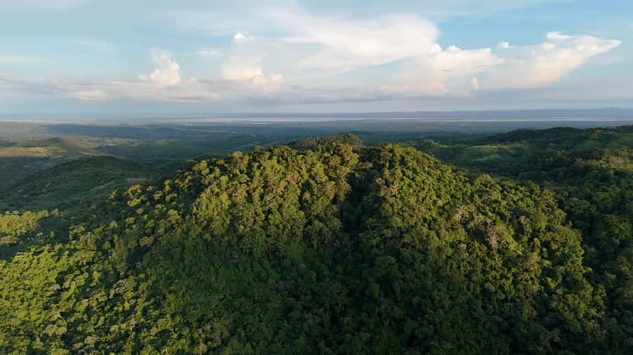 Scenic Horseback Ride in Tropical Mountain Reserve - Why Fundación Loros feels different from a standard riding tour