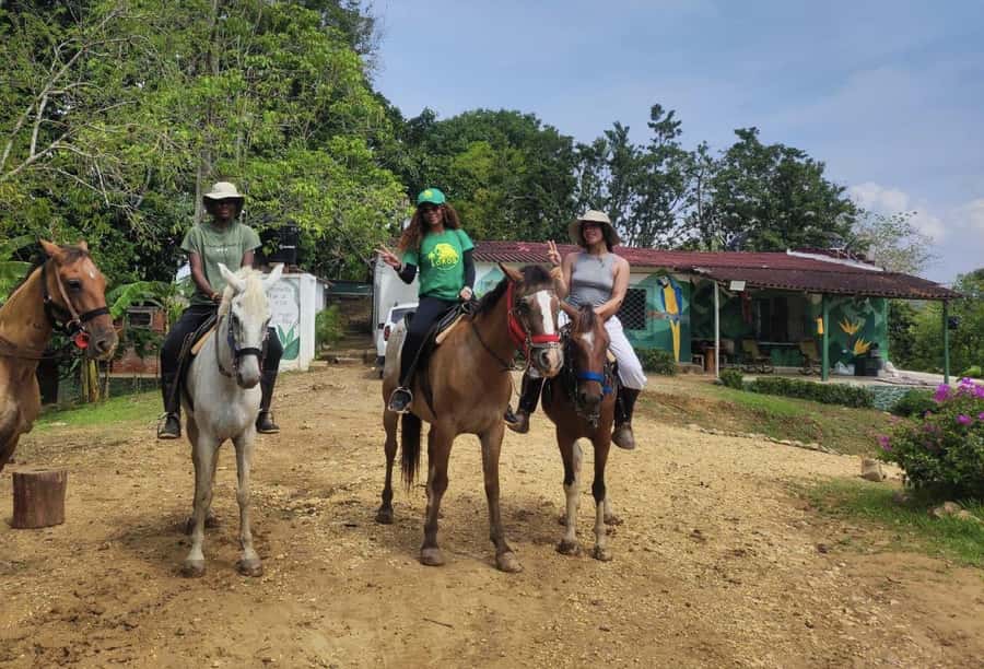 Scenic Horseback Ride in Tropical Mountain Reserve - UTV views add a second kind of adventure