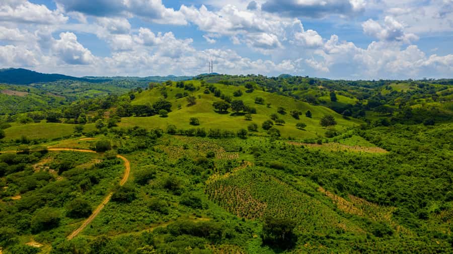 Scenic Horseback Ride in Tropical Mountain Reserve - Planting a tree gives the day a lasting purpose