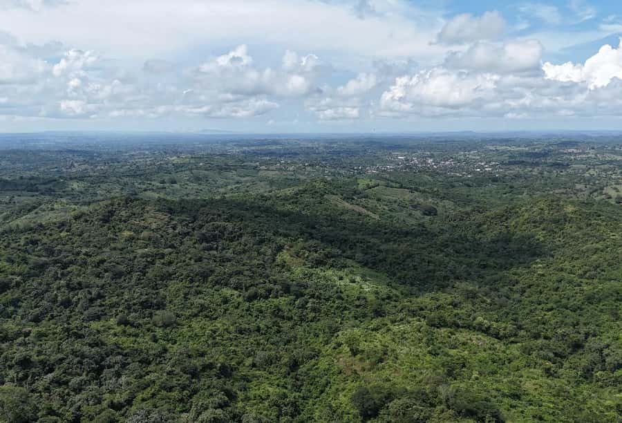 Scenic Horseback Ride in Tropical Mountain Reserve - Who should book this six-hour reserve visit
