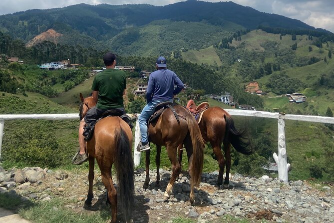 Scenic Horseback Riding in the Medellín Mountains - Who Will Enjoy This Experience Most?