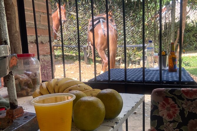 Scenic Horseback Riding in the Medellín Mountains - Booking Timing and Cancellation Details