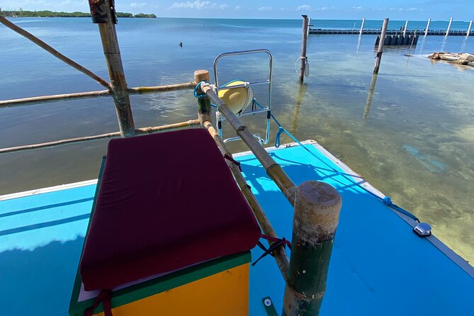 Shark & Ray Afternoon Swim Tiki Bar Cruise - A short boat ride from The Split to Shark Alley