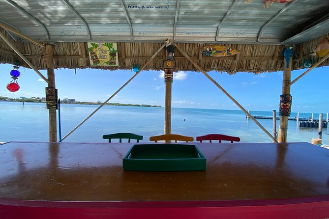 Shark & Ray Afternoon Swim Tiki Bar Cruise - The Friki Tiki atmosphere, drinks, and music