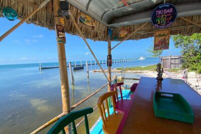 Shark & Ray Afternoon Swim Tiki Bar Cruise