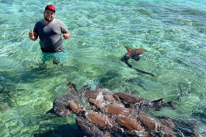 Shark & Ray Afternoon Swim Tiki Bar Cruise - What the 90-minute schedule feels like