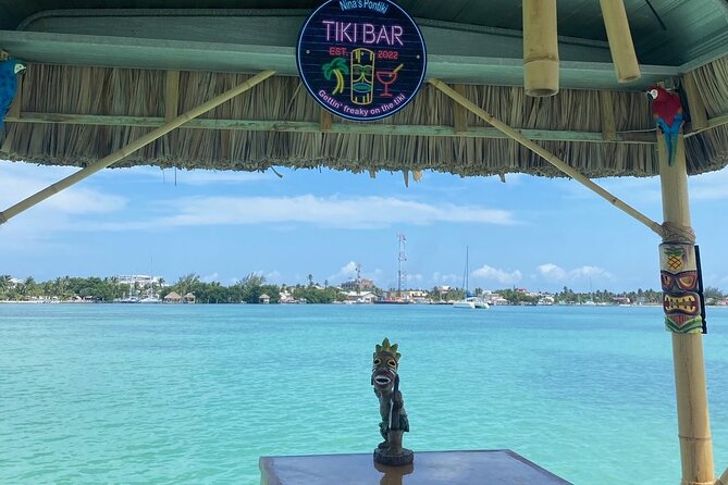 Shark & Ray Afternoon Swim Tiki Bar Cruise - Safety, swimming ability, and comfort