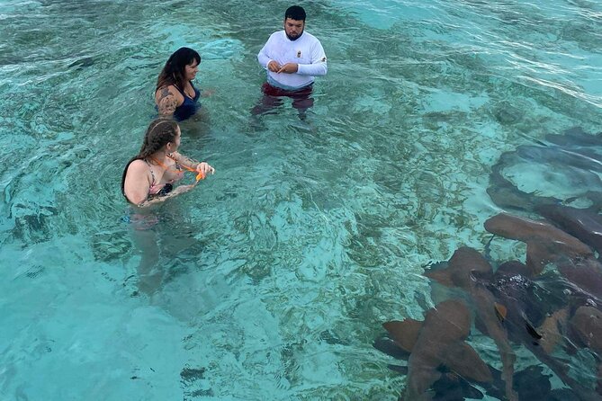 Shark & Ray Afternoon Swim Tiki Bar Cruise - Is $60 a fair price?