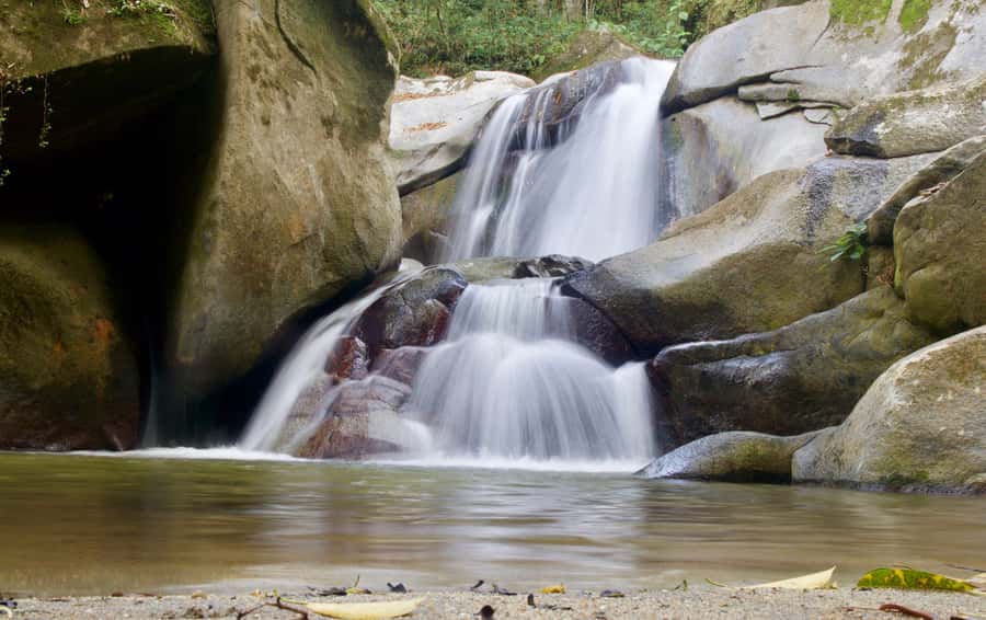 Sierra Minca Day Tour - From Santa Marta to the foothills