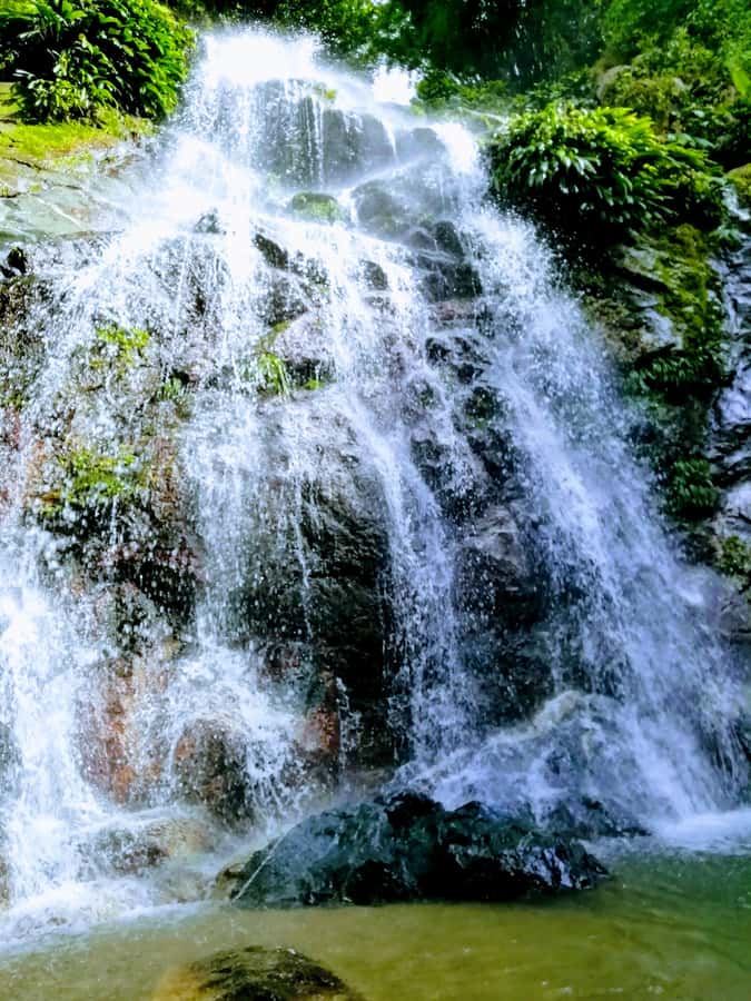 Sierra Minca Day Tour - Practical advice before you book