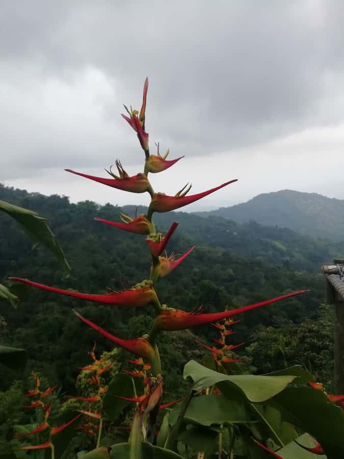 Sierra Minca Day Tour - Should you book the Sierra Minca day tour?