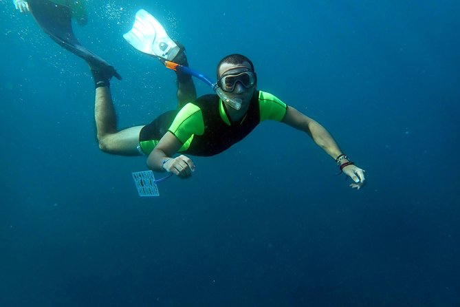 Snorkeling excursion in Isla de Tabarca - Why Tabarca makes a good half-day outing