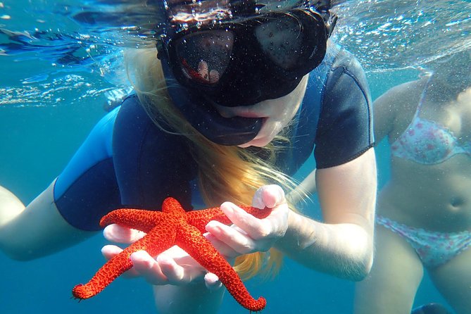 Snorkeling excursion in Isla de Tabarca - Equipment, drinks, and underwater photos