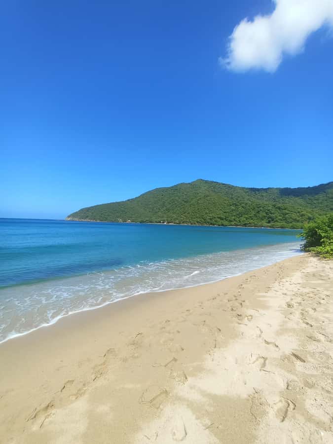 SPEEDBOAT TOUR TO TAYRONA CRISTAL BEACH - Playa Cristal by boat, not by trail