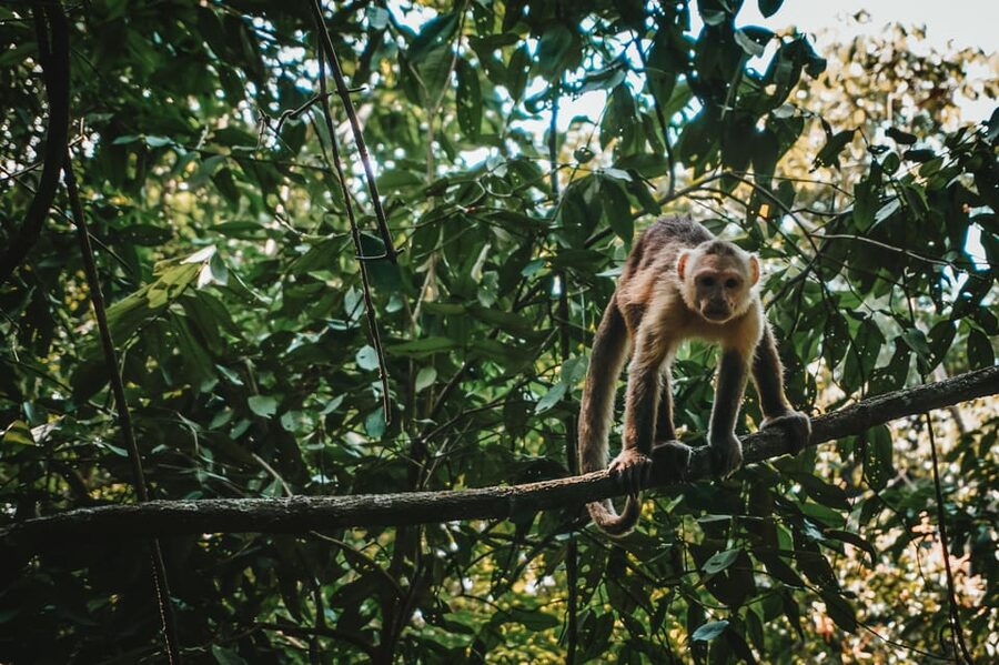 Tayrona Park & Cabo San Juan - Who will enjoy this Tayrona day