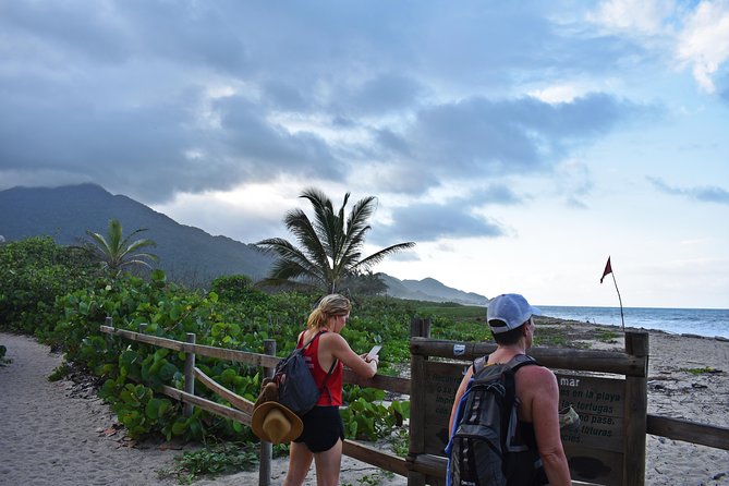 Tayrona Park Hike And Beach Day - What this Tayrona day is really like