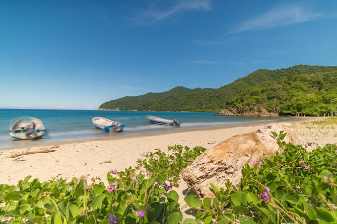 Tayrona Park Hike Tour to Cabo San Juan: Private or Shared - What the guides add to the experience