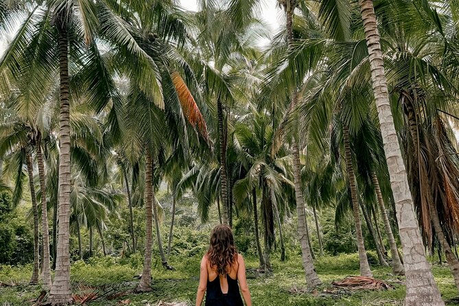 Tayrona Park Hike Tour to Cabo San Juan: Private or Shared - Starting from Santa Marta before the heat builds