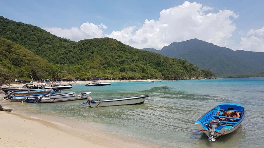 Tayrona Park & Playa Cristal - Key points to know before you book
