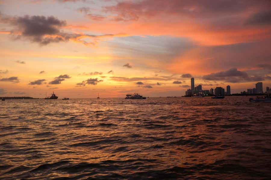 The best sunset tour in the bay: Open bar party & fun - A sunset party instead of a quiet boat ride