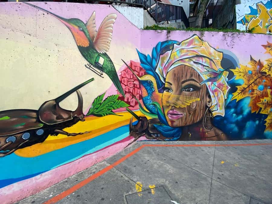 Tour Medellín: Pablo Escobar and Commune 13 - A direct look at Medellín’s difficult past