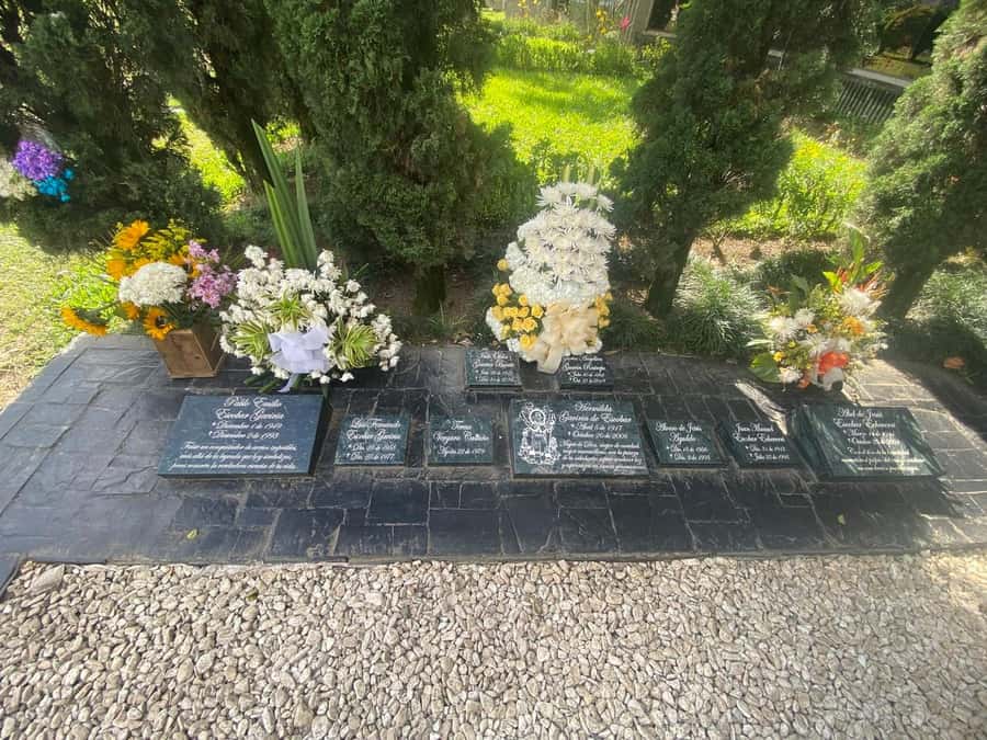 Tour Medellín: Pablo Escobar and Commune 13 - Is $115 a fair price?