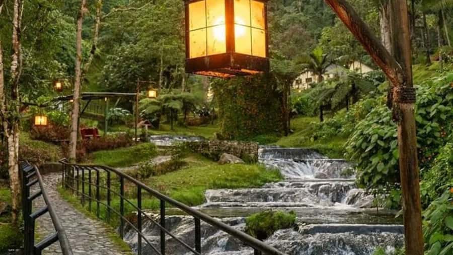 Tour Santa Rosa hot springs from Pereira, Armenia or Salento - Key points to know before booking