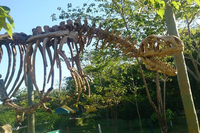 Tour to the Hacienda Nápoles Theme Park - Hippo Park and the story of Vanessa