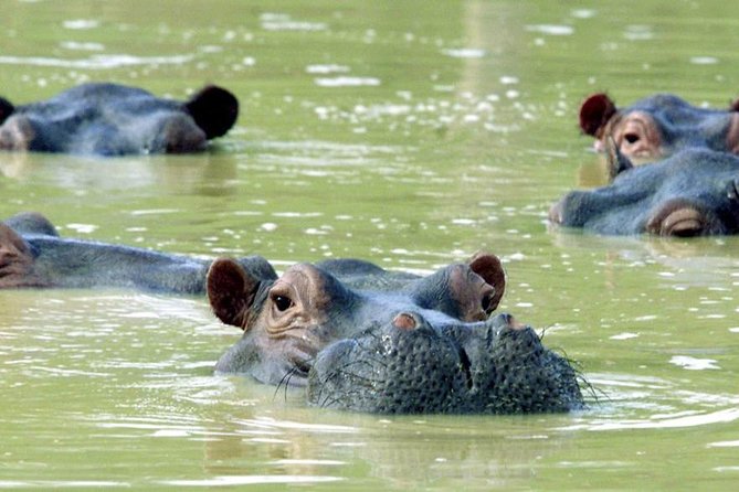 Tour to the Hacienda Nápoles Theme Park - Eight hours among animals and themed attractions