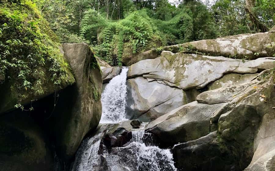 Trekking History and Indigenous Heritage in Minca + Cacao & Coffee + Waterfall - Cabanas Bosque Cacao and the Arhuaco connection