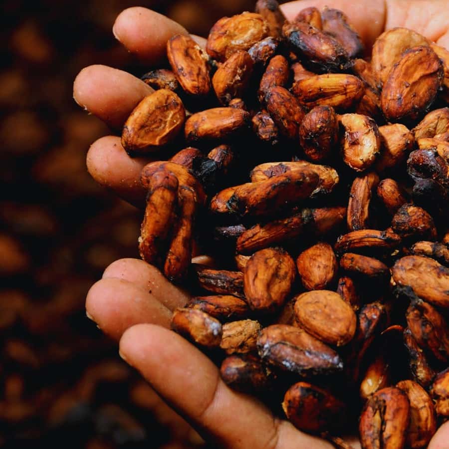 Trekking History and Indigenous Heritage in Minca + Cacao & Coffee + Waterfall - Reaching the waterfall after the farm