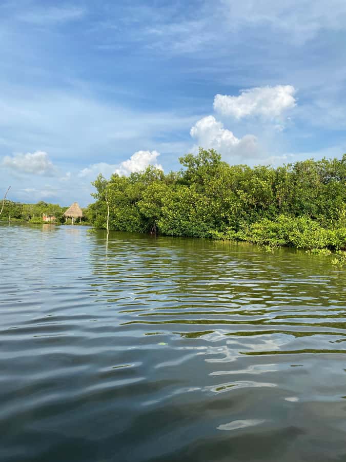 Typical lunch on beach, mangrove tour & fishing with natives - What the guides add to the day