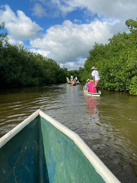 Typical lunch on beach, mangrove tour & fishing with natives - Through the mangrove by boat
