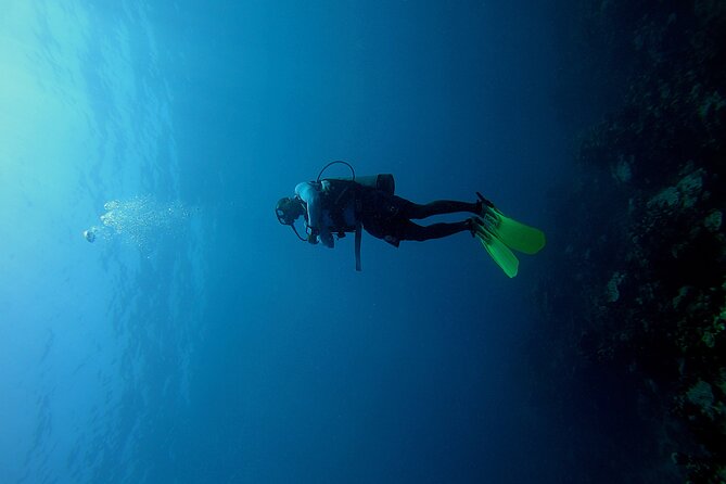 Under a sea of adventures, unforgettable diving. - From Muelle de la Bodeguita to the open water