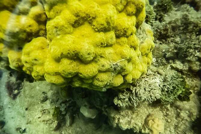 Under a sea of adventures, unforgettable diving. - Choosing between a gentle reef and deeper water