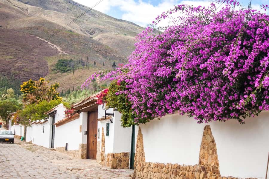 Villa de Leyva Trip by Private Transportation - Who should book this Villa de Leyva outing?