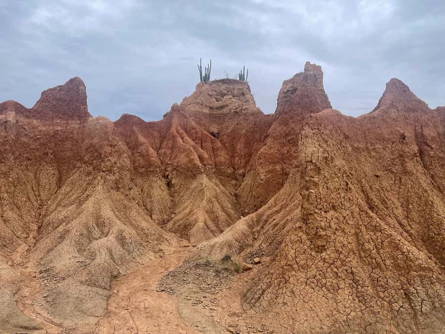 Villavieja: Tatacoa Desert Horseback Riding Tour - The fossil site and Tatacoa’s ancient past