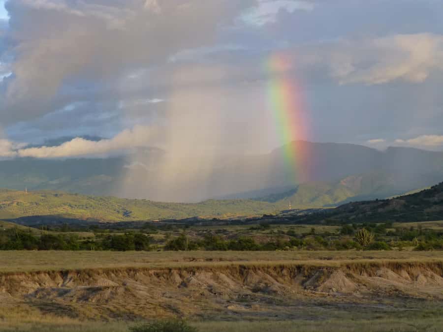 Villavieja: Tatacoa Desert Horseback Riding Tour - Comfort, heat, and what to bring