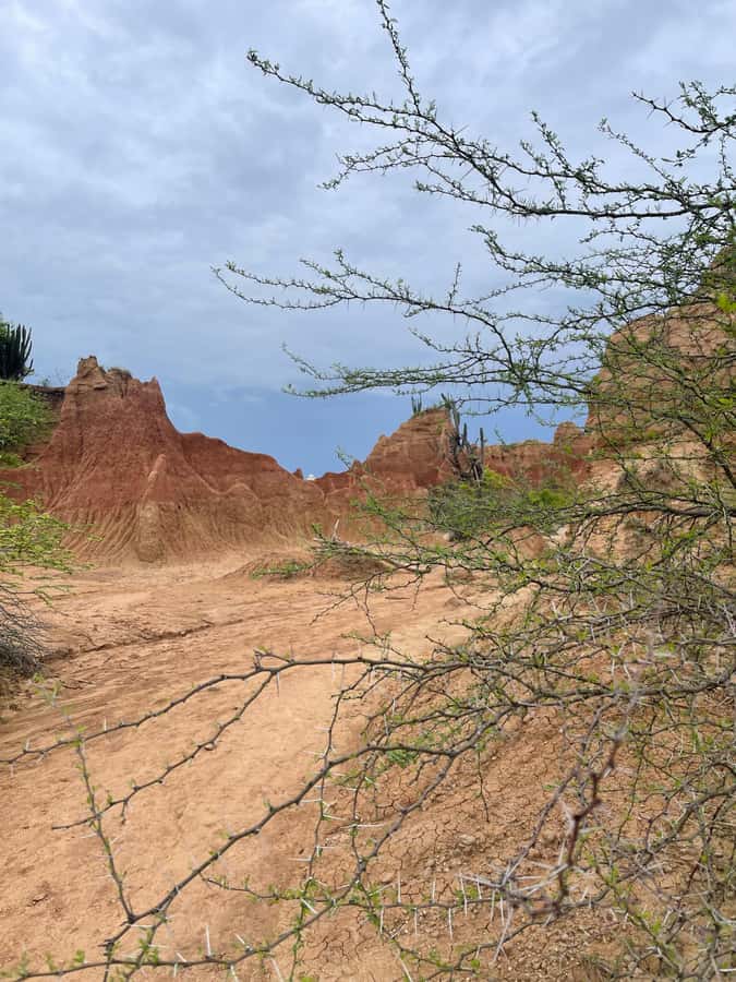Villavieja: Tatacoa Desert Horseback Riding Tour - Who should book this horseback ride?