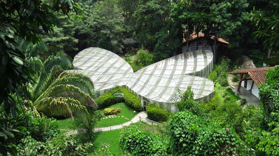 Walking tour José Celestino Mutis Botanical Garden 3 hrs - Key points to know before you book