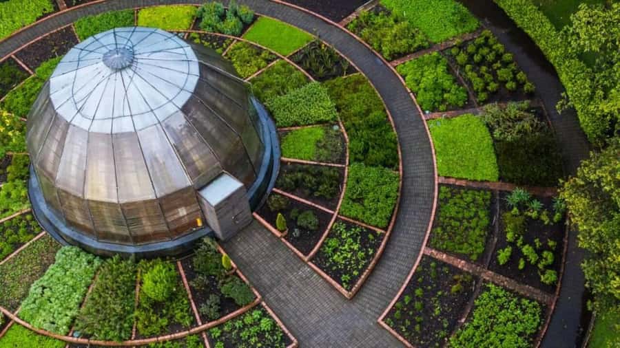 Walking tour José Celestino Mutis Botanical Garden 3 hrs - Why this garden matters in Bogotá