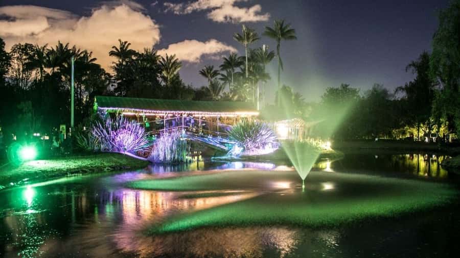 Walking tour José Celestino Mutis Botanical Garden 3 hrs - Two hours of guided garden exploration
