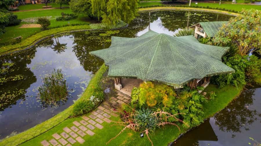 Walking tour José Celestino Mutis Botanical Garden 3 hrs - Starting at Avenida José Celestino Mutis